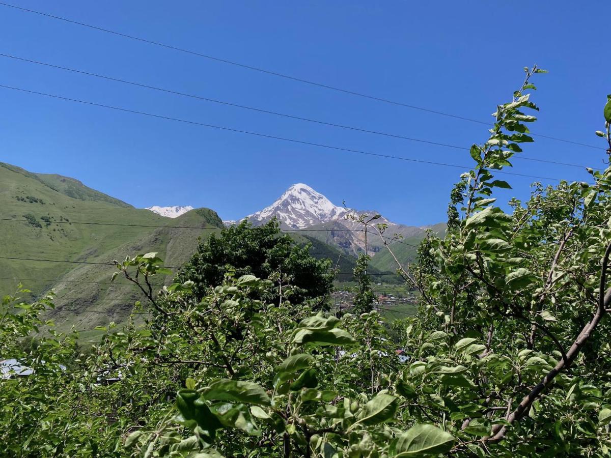 Geo Inn Kazbegi Exterior foto