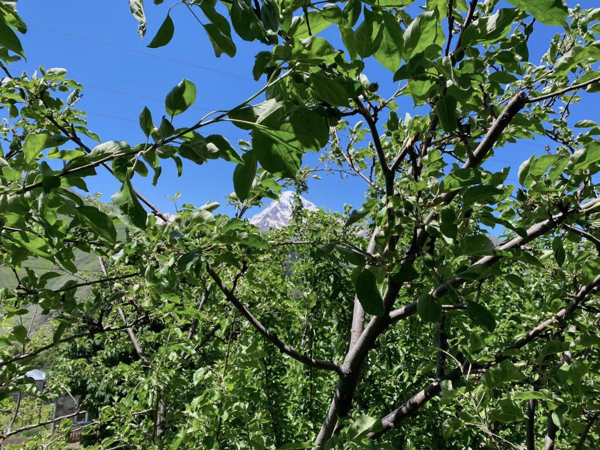 Geo Inn Kazbegi Exterior foto